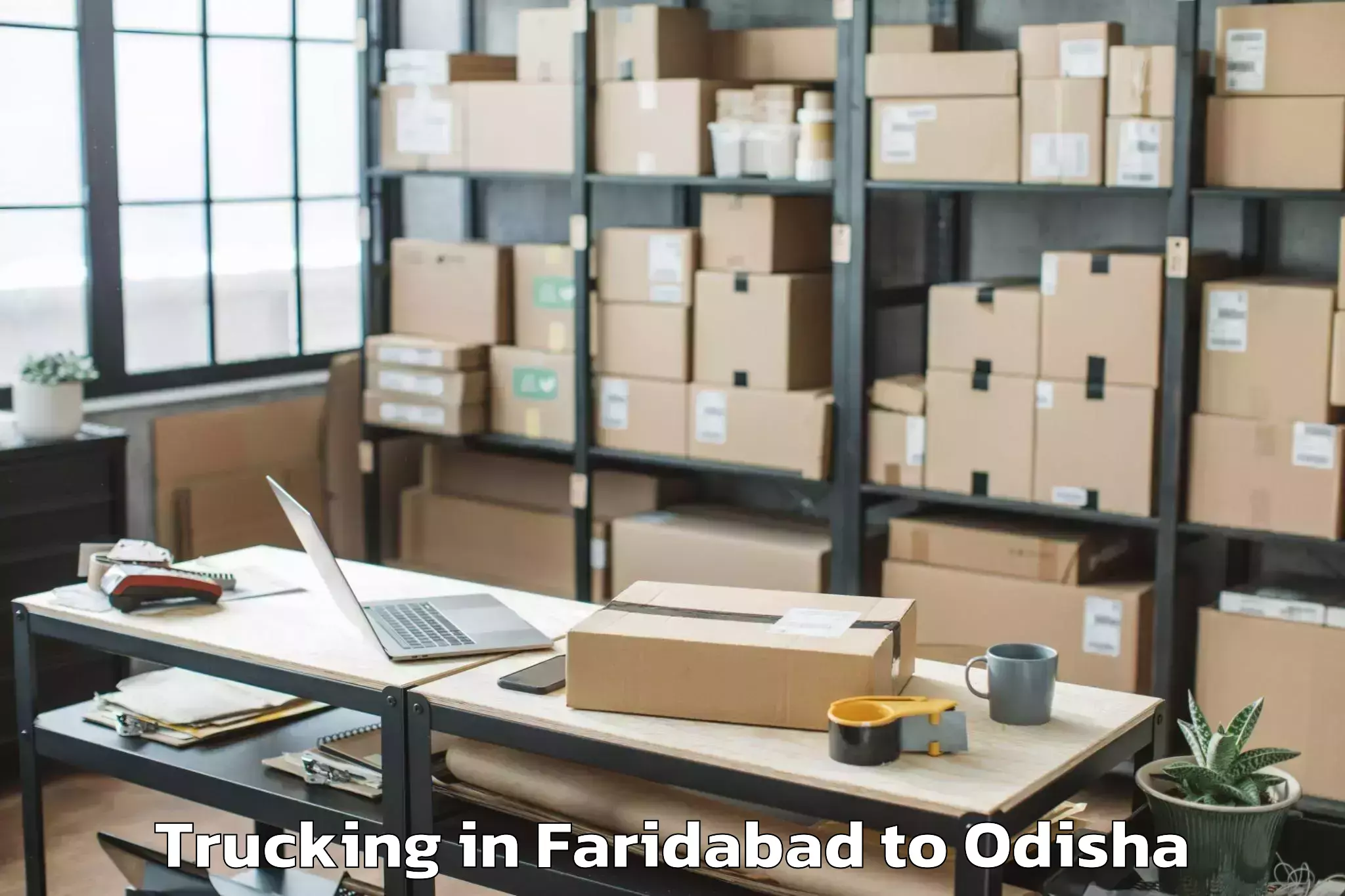 Reliable Faridabad to Dhamara Marine Trucking